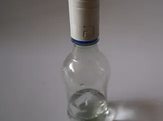 bottle water gun