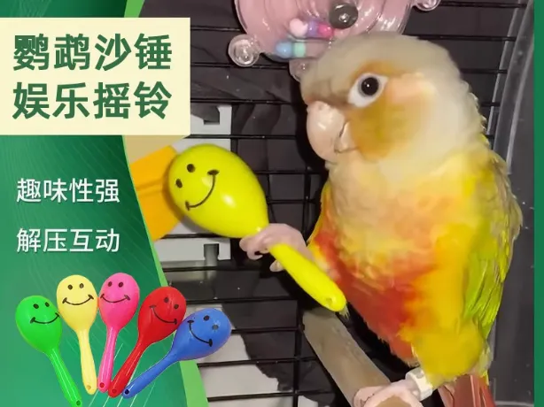 鹦鹉玩具小沙锤摇铃