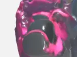 jelly hikers 