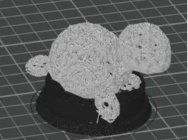 turtle