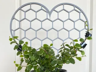 heart shaped trellis