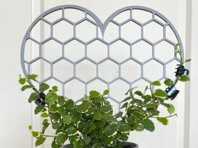 heart shaped trellis
