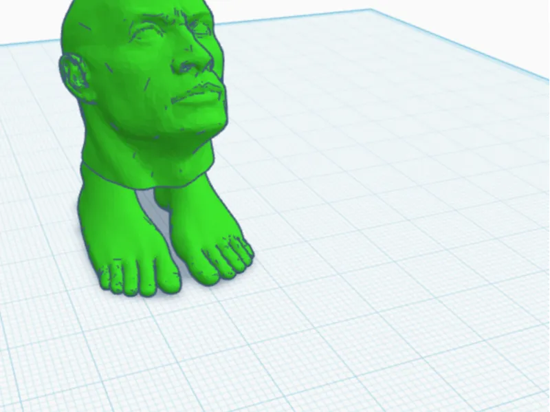 the rock with tiny feet