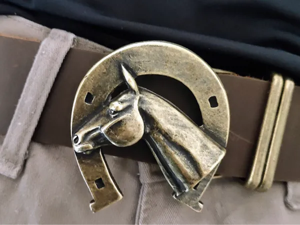 Boucle fer à cheval
