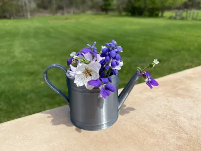 Mini Watering Can