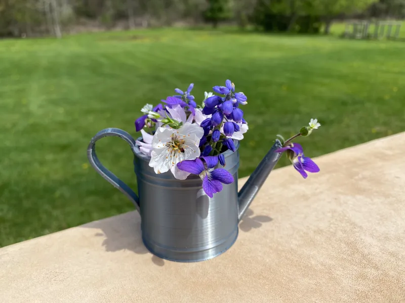 Mini Watering Can