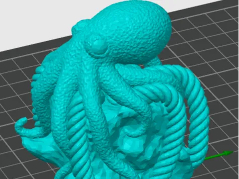 octopus