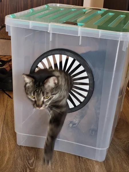 https://makerworld.bblmw.com/makerworld/model/DSM00000001386380/design/2025-05-05_22i126xrrnl7.jpg