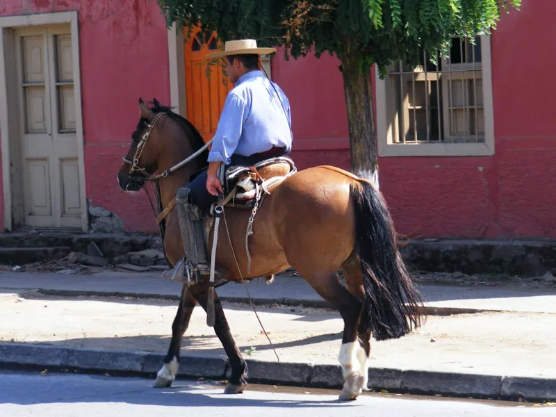 Huaso_Chileno