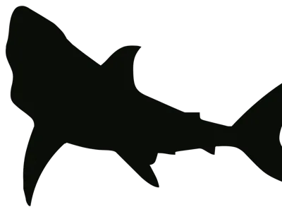 flexi shark testing