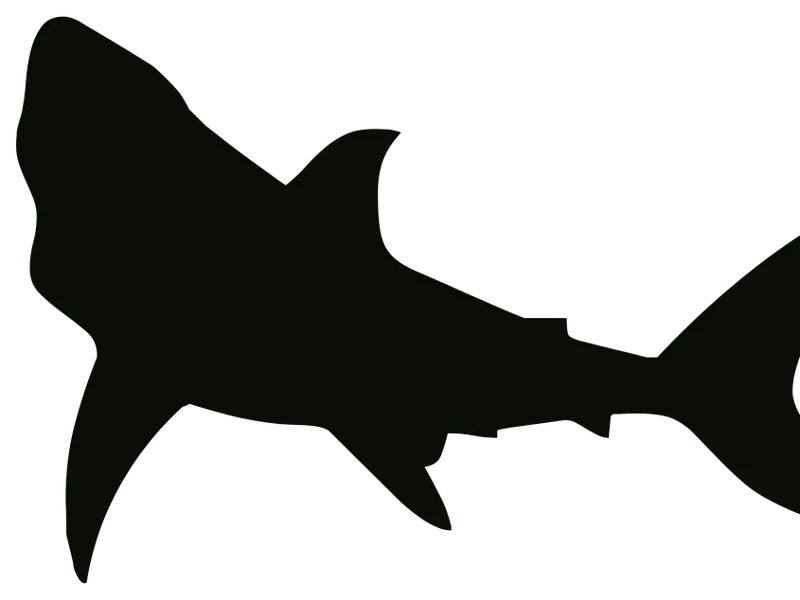 flexi shark testing