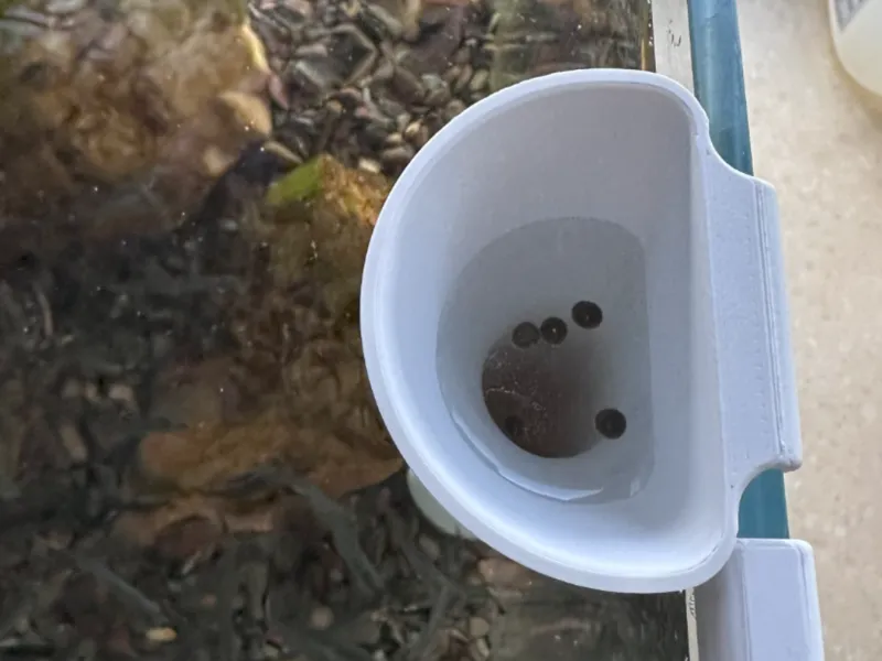 底栖鱼喂食导管