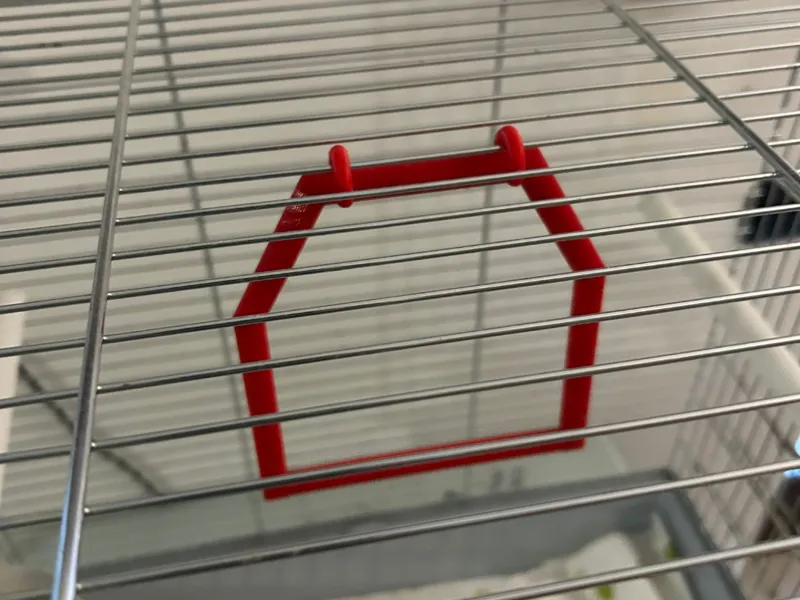 Swing for parakeets