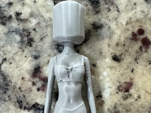 https://makerworld.bblmw.com/makerworld/model/DSM00000001391905/design/2025-05-07_376655d84c03c8.jpeg