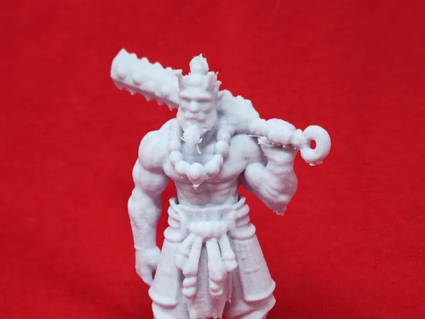 https://makerworld.bblmw.com/makerworld/model/DSM00000001391935/design/2025-05-06_092469351f7338.jpg