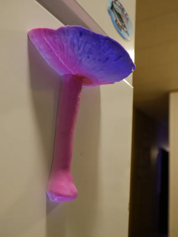 Mushroom Magnet