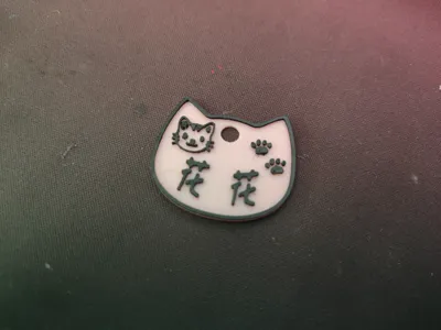 Cat ID Tag