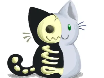 Gato_Schrodinger