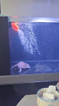 鱼缸出水口增氧无动力出水口