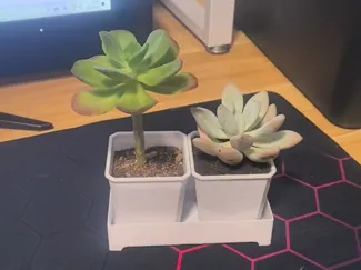 多肉花盆