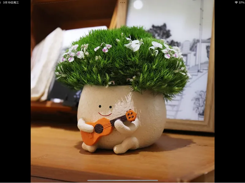 测试