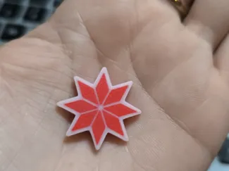 Estrella federal Pin 