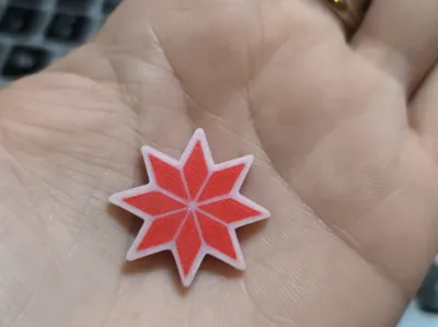 Federal Star Pin 