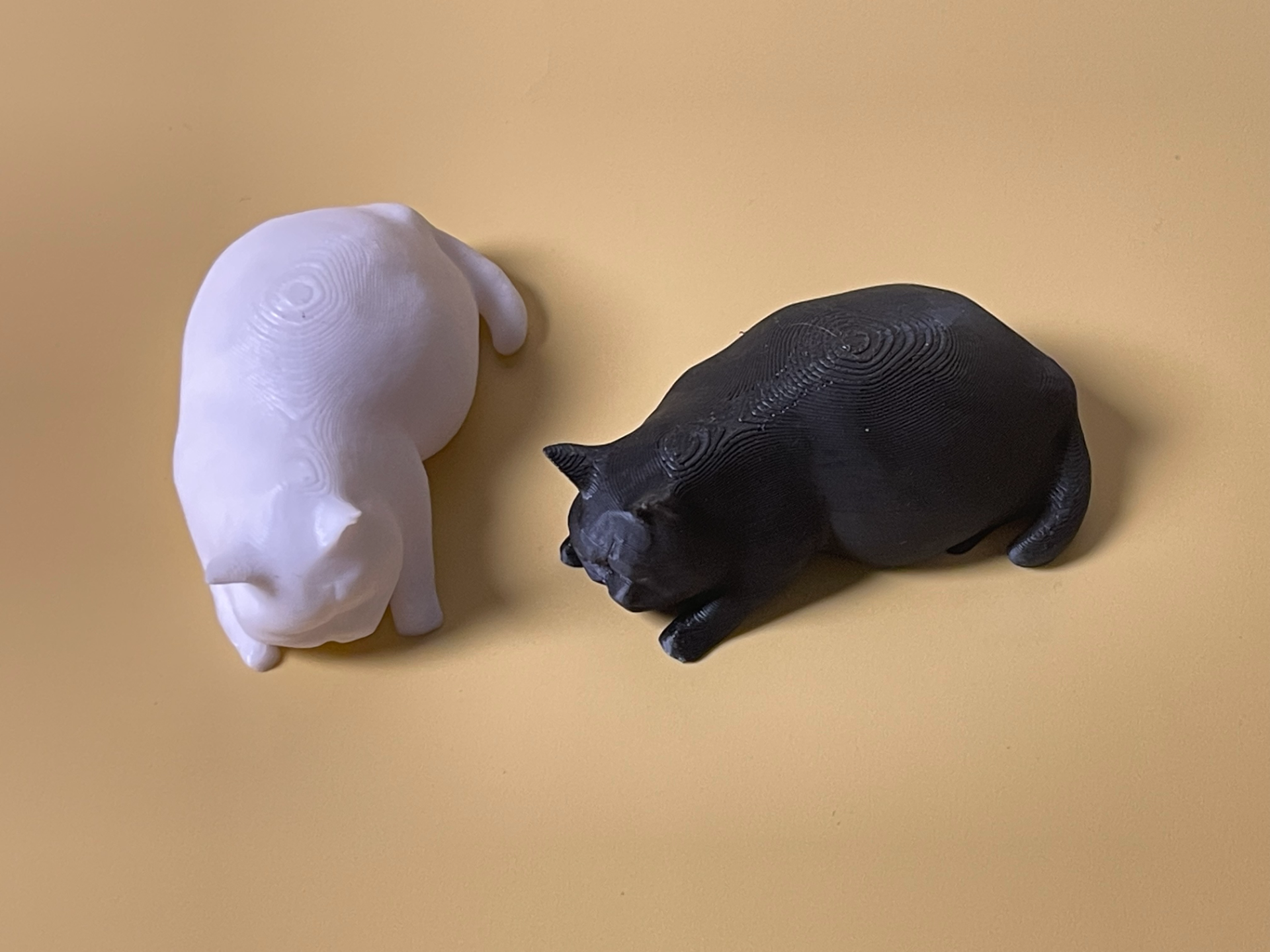 大懒猫