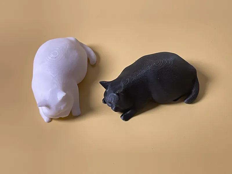 大懒猫