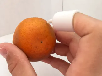 The CitrusClaw
