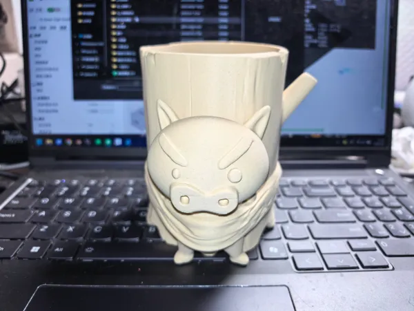 https://makerworld.bblmw.com/makerworld/model/DSM00000001398654/design/2025-05-08_c14b4fd1503c98.jpg