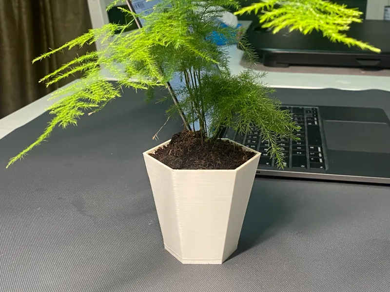 花盆