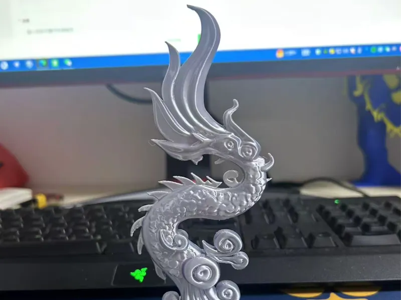 瑞影银龙