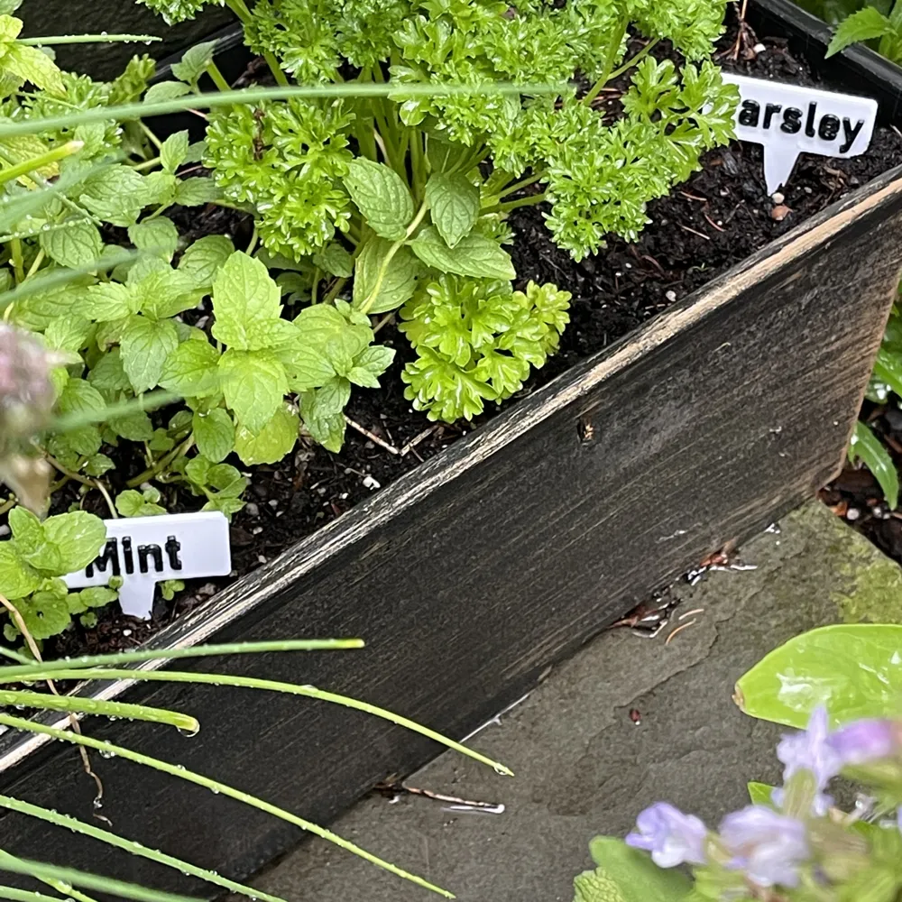 Customizable Plant Labels Remixed by FoxRun3D MakerWorld: Download Free ...
