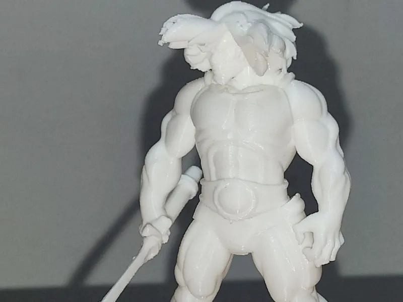 Leo-o Thundercats