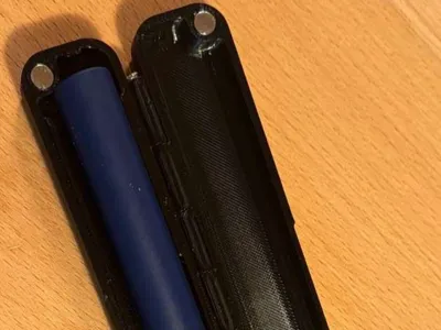 Insulin Pen Case + Needle