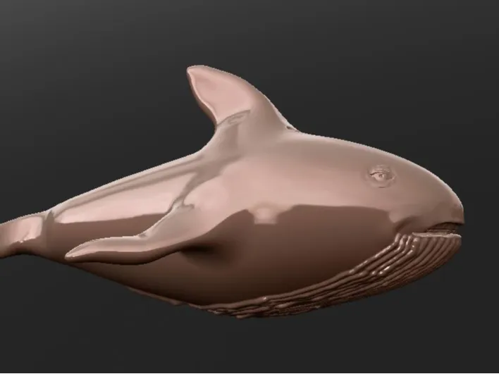 Whale 