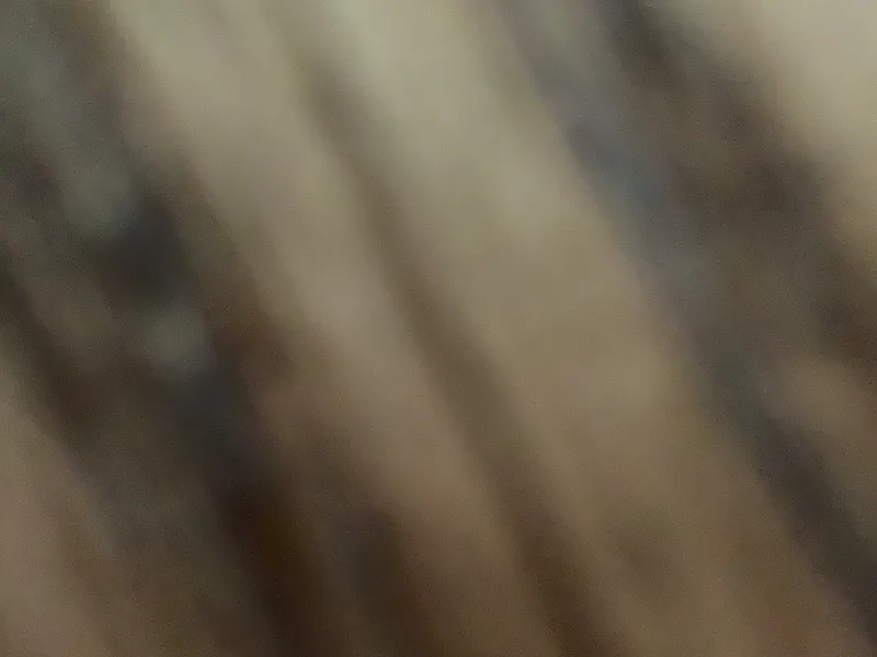Spiral fidget 4 pack