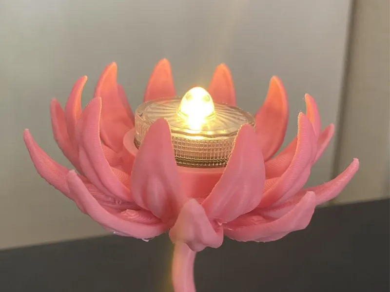 [莲花夜灯] LED Light Lotus Stand