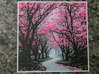 Spring Blossoming Trees - HueForge