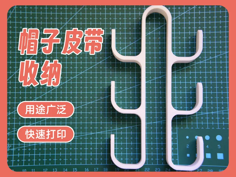 帽子皮带收纳挂钩