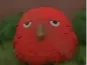 Melvin From Trailmakers