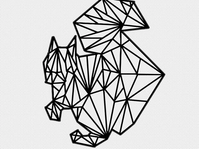 squirrel