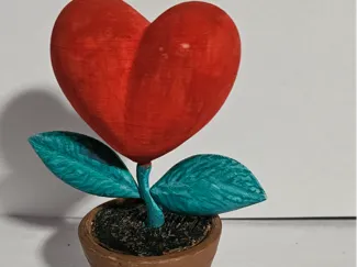cserepes szív alakú virág