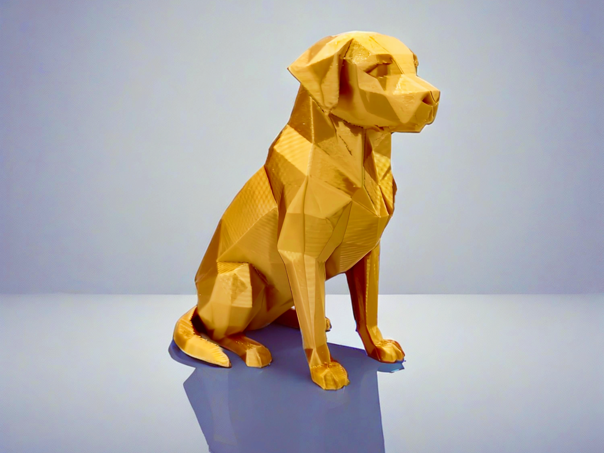 Düşük Poli Labrador - Hayvan Heykel Süslemesi
