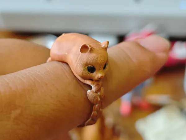 https://makerworld.bblmw.com/makerworld/model/DSM00000001411828/design/2025-05-13_18ab8282572d3.jpg