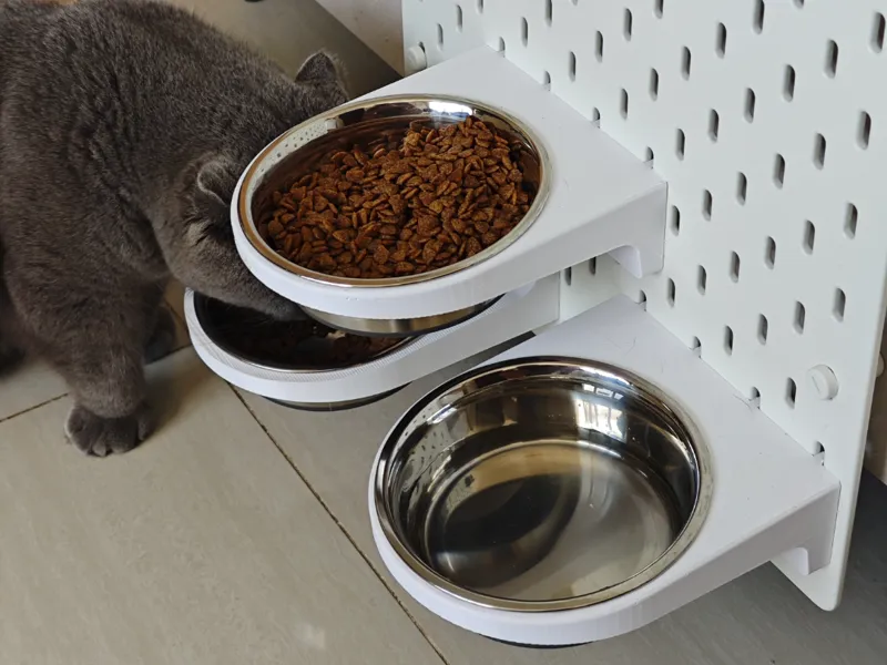 宜家斯考迪斯猫粮碗架