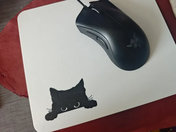 https://makerworld.bblmw.com/makerworld/model/DSM00000001412446/design/2025-05-13_767e254fa18da.jpg
