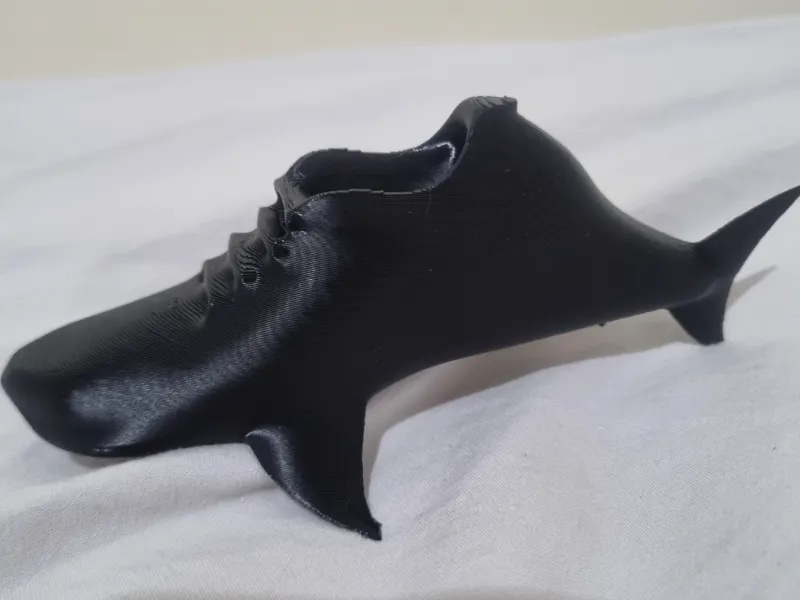 shark shoe