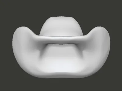 Cowboy hat